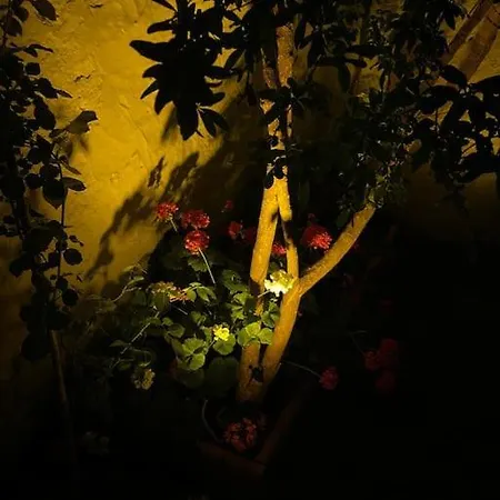 Villa Kanai Konuk & Zeytin Evi