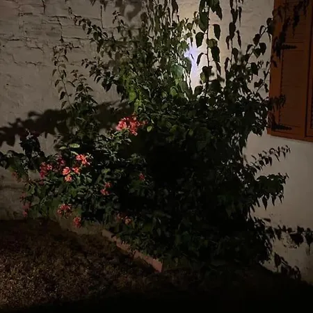 Kanai Konuk & Zeytin Evi Villa *