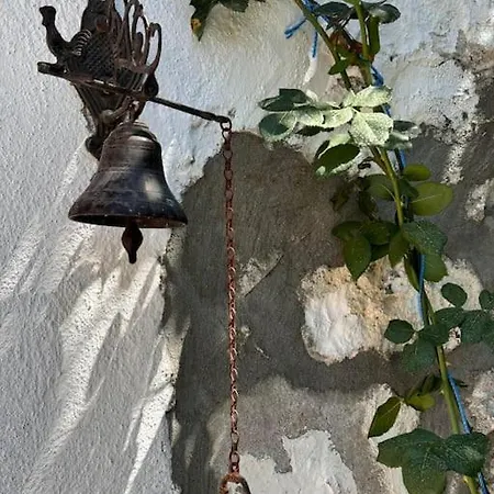 Villa Kanai Konuk & Zeytin Evi