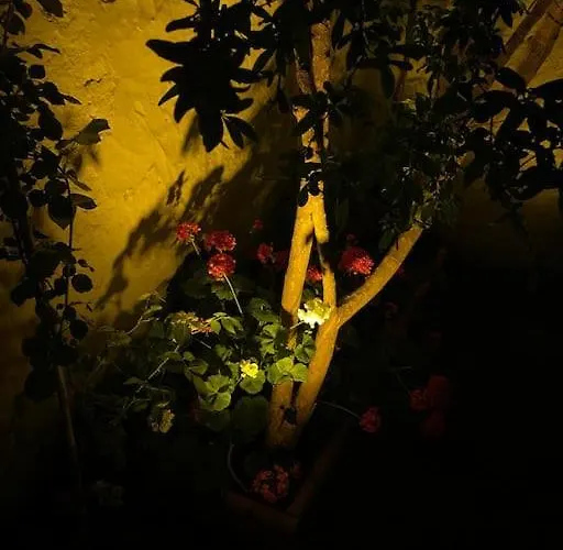 Vila Kanai Konuk & Zeytin Evi