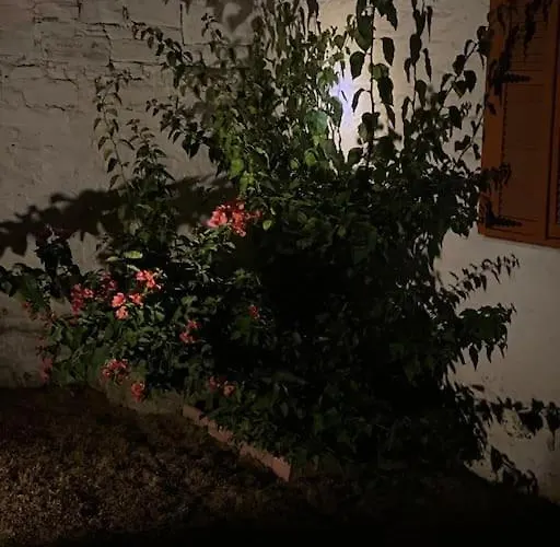 Kanai Konuk & Zeytin Evi Vila *